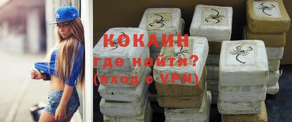 ешки Арсеньев