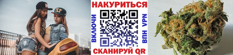 Шишки марихуана семена  где продают наркотики  Пятигорск 